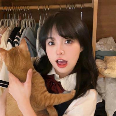 鹈头川村事件
